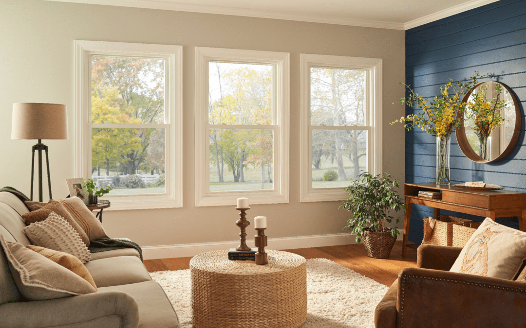 How To Choose Replacement Windows